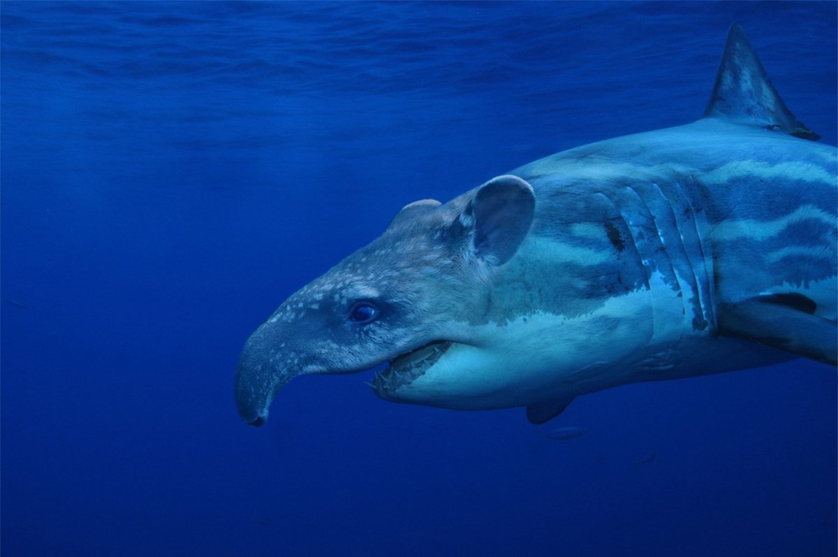 Акула МЕГАЛОДОН