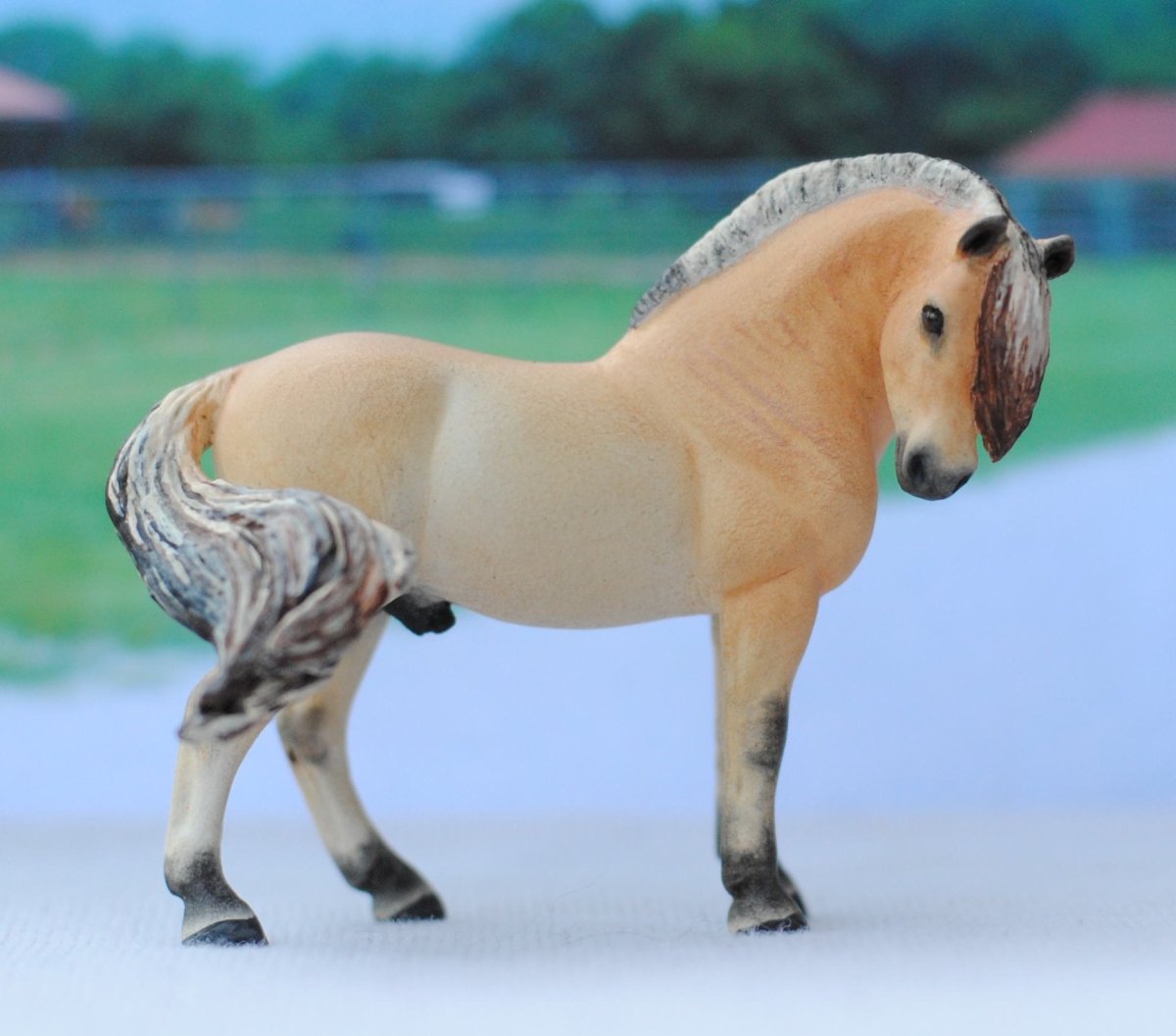 Норвежская фьордская лошадь