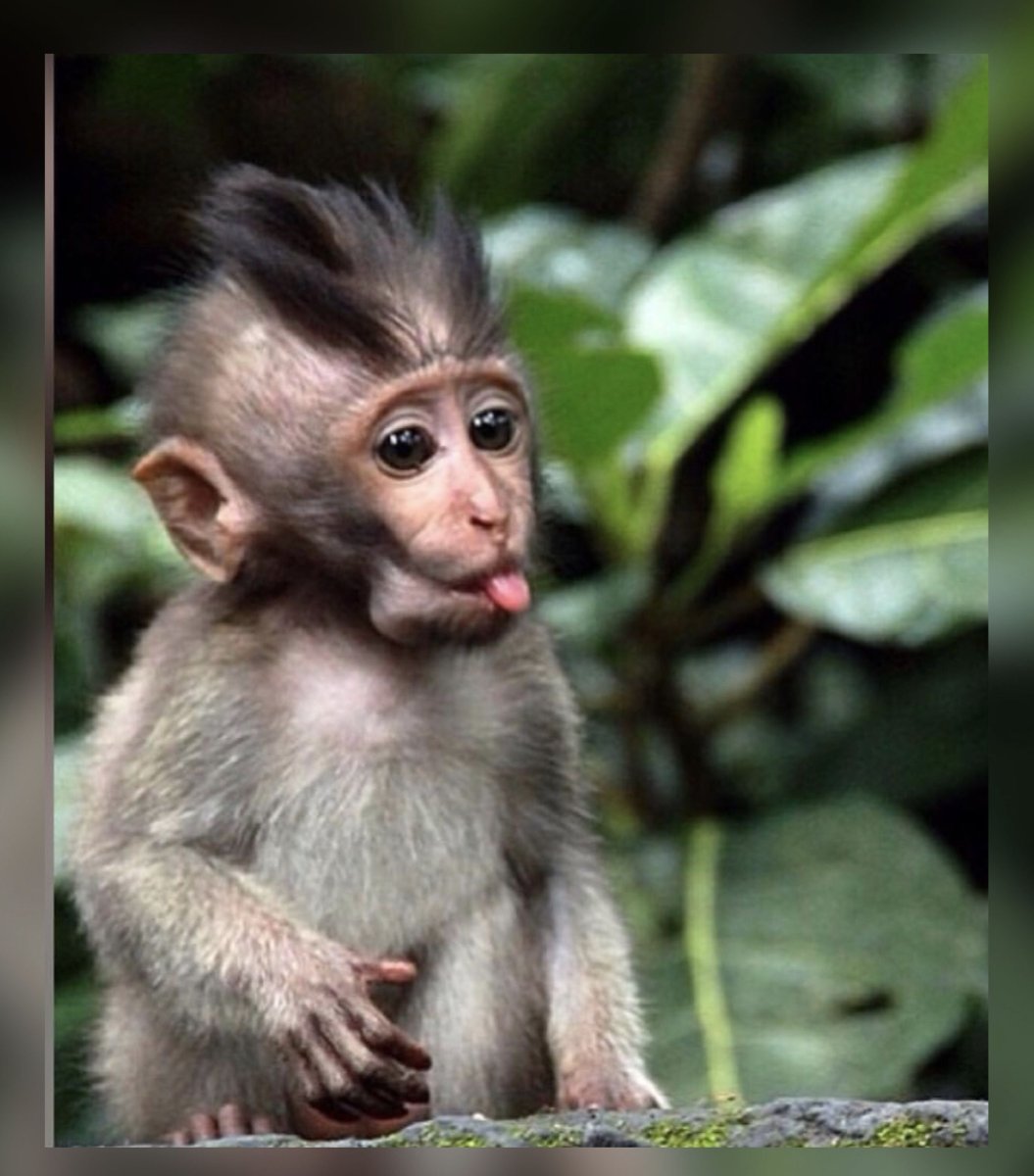 Фотограф Дэвид Слейтер