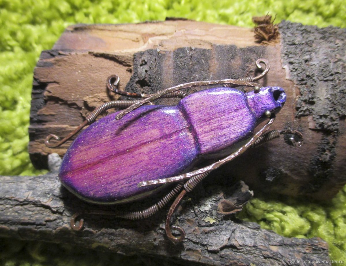 Жужелицы сороконожки