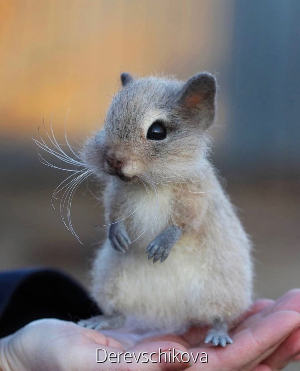 Хомяк серый