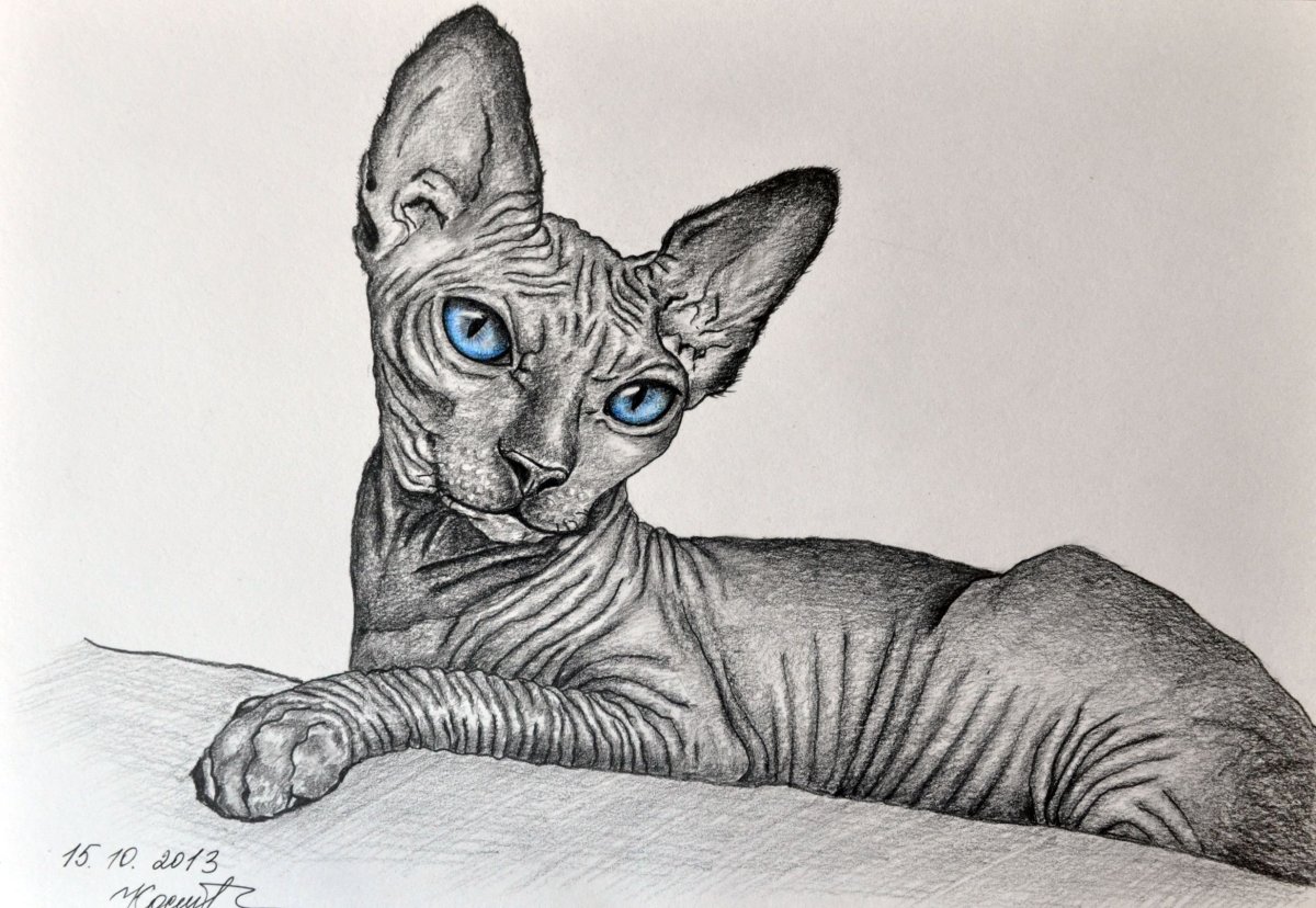 Сфинкс для срисовки