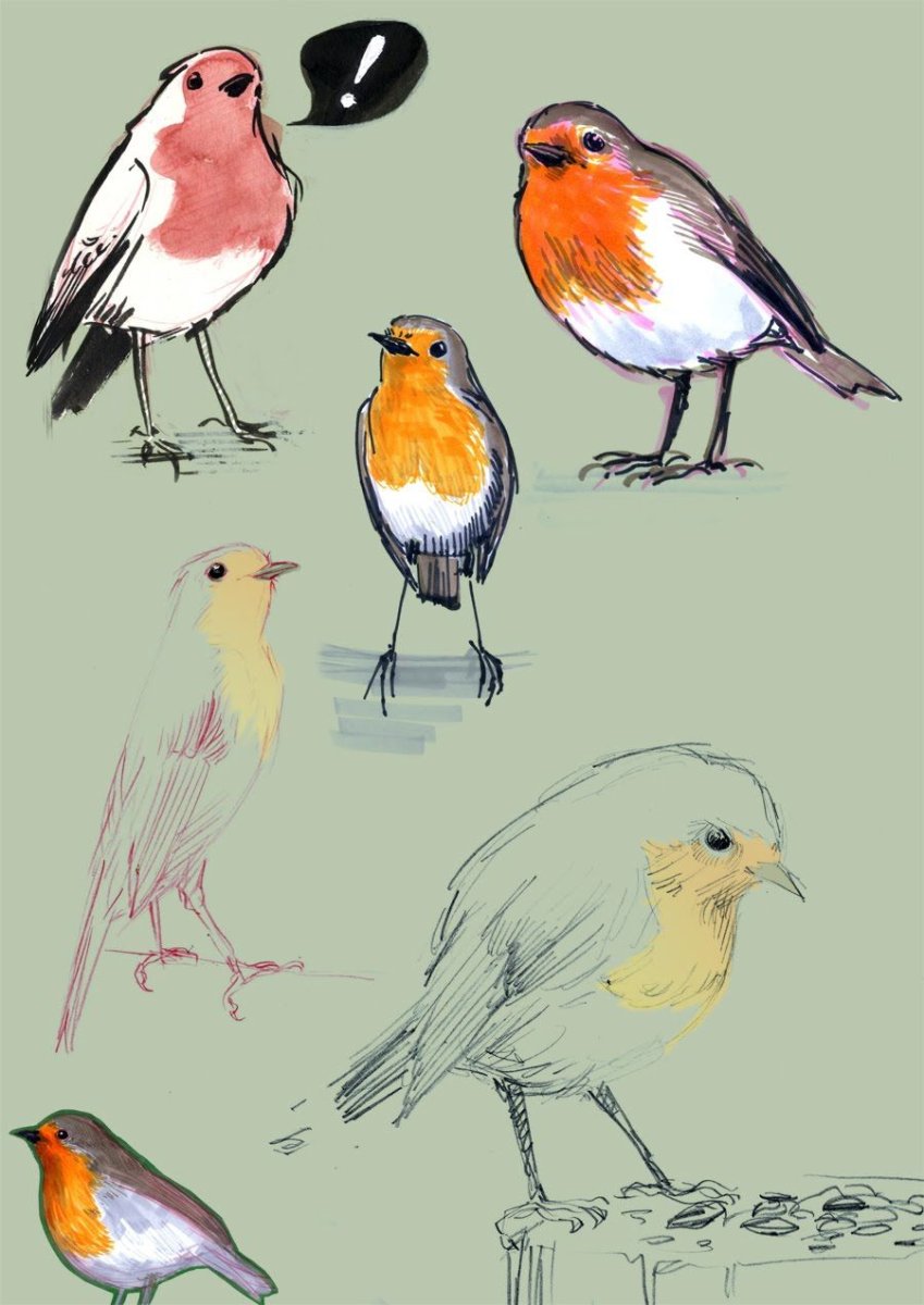 Малиновка иллюстрация