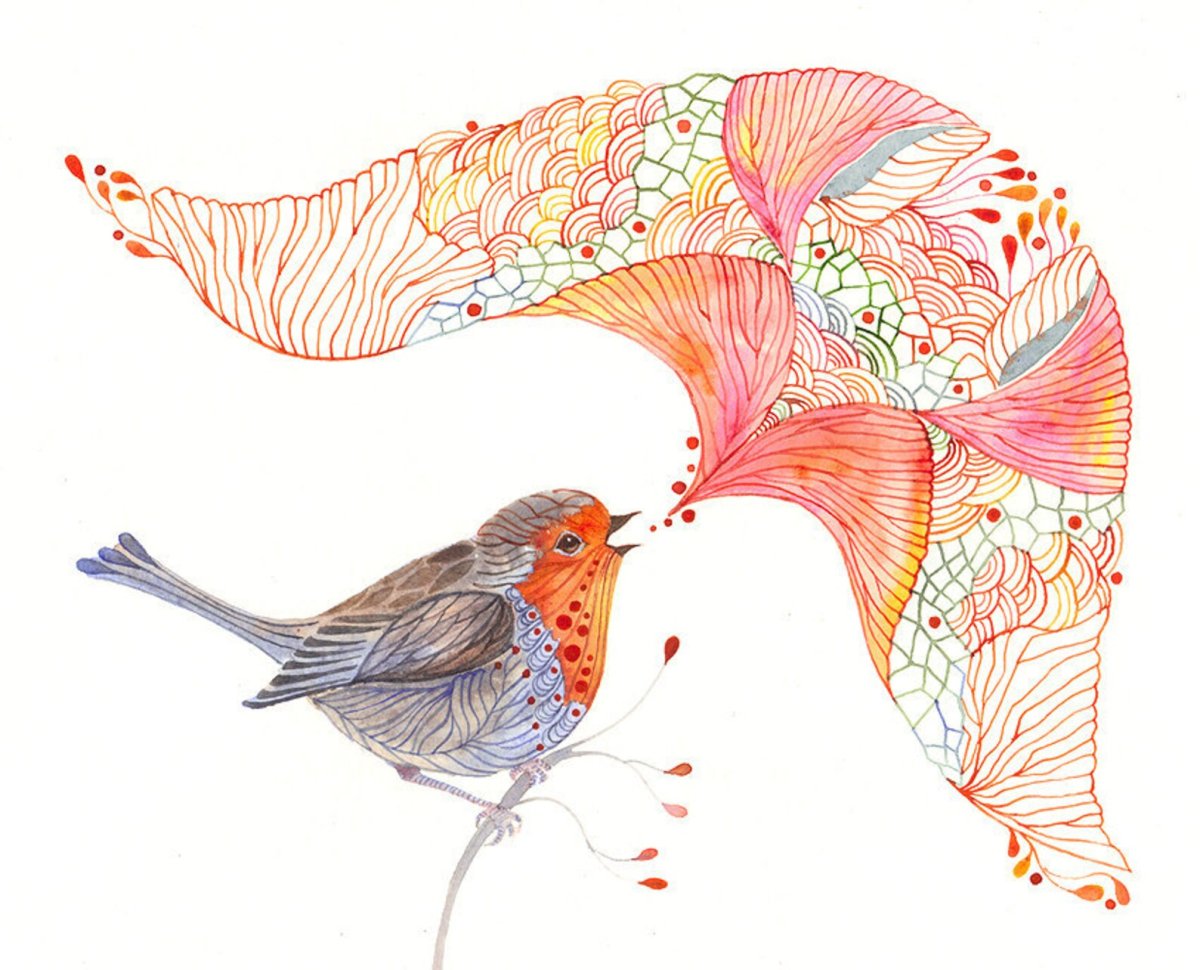 Красногрудая Зарянка