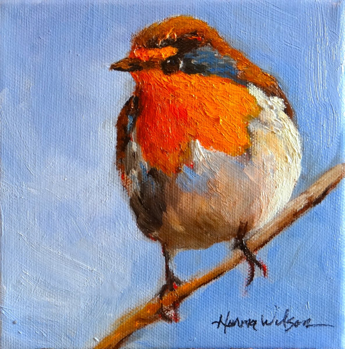 Малиновка птица