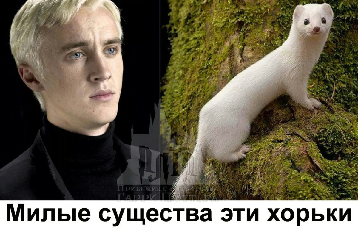 Ной уплыл мультфильм