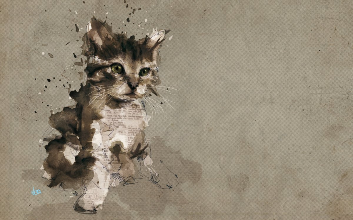 Кот выглядывает из-за стола