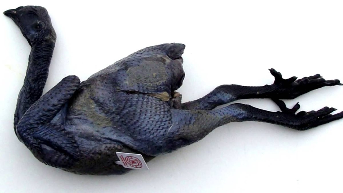 Китайская шелковая мясо