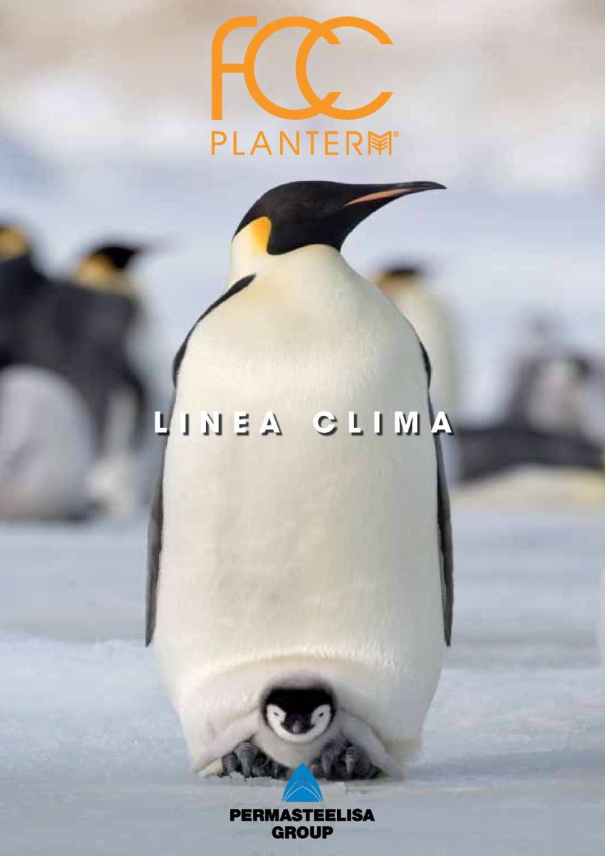 Королевский Пингвин малыш