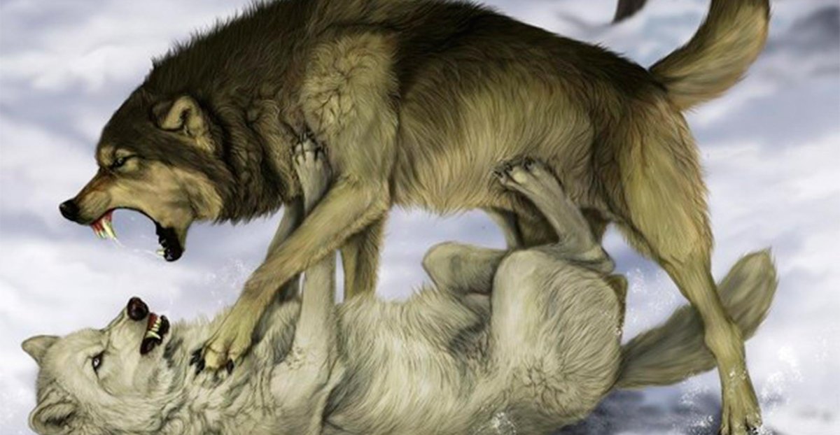 Борьба добра и зла волк