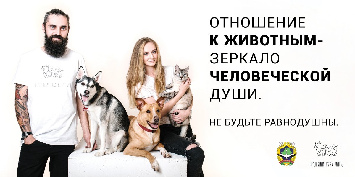 Благотворительность для животных