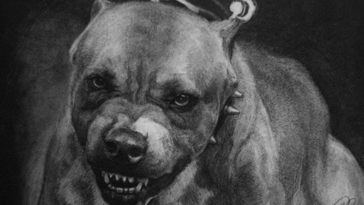 Американский стаффордширский терьер