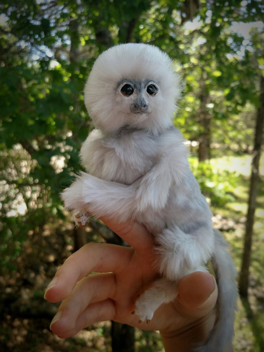 Обезьяна с малышом