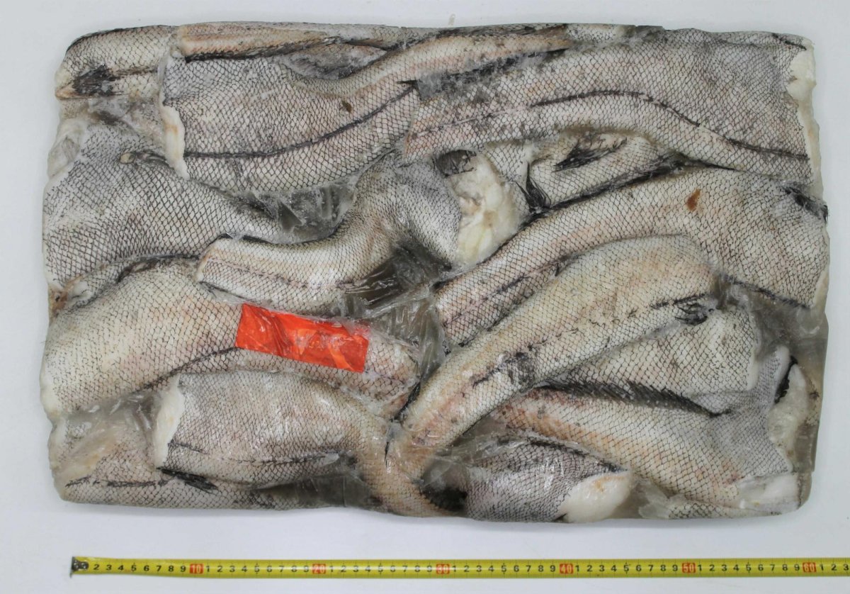 Макрурус свежемороженый