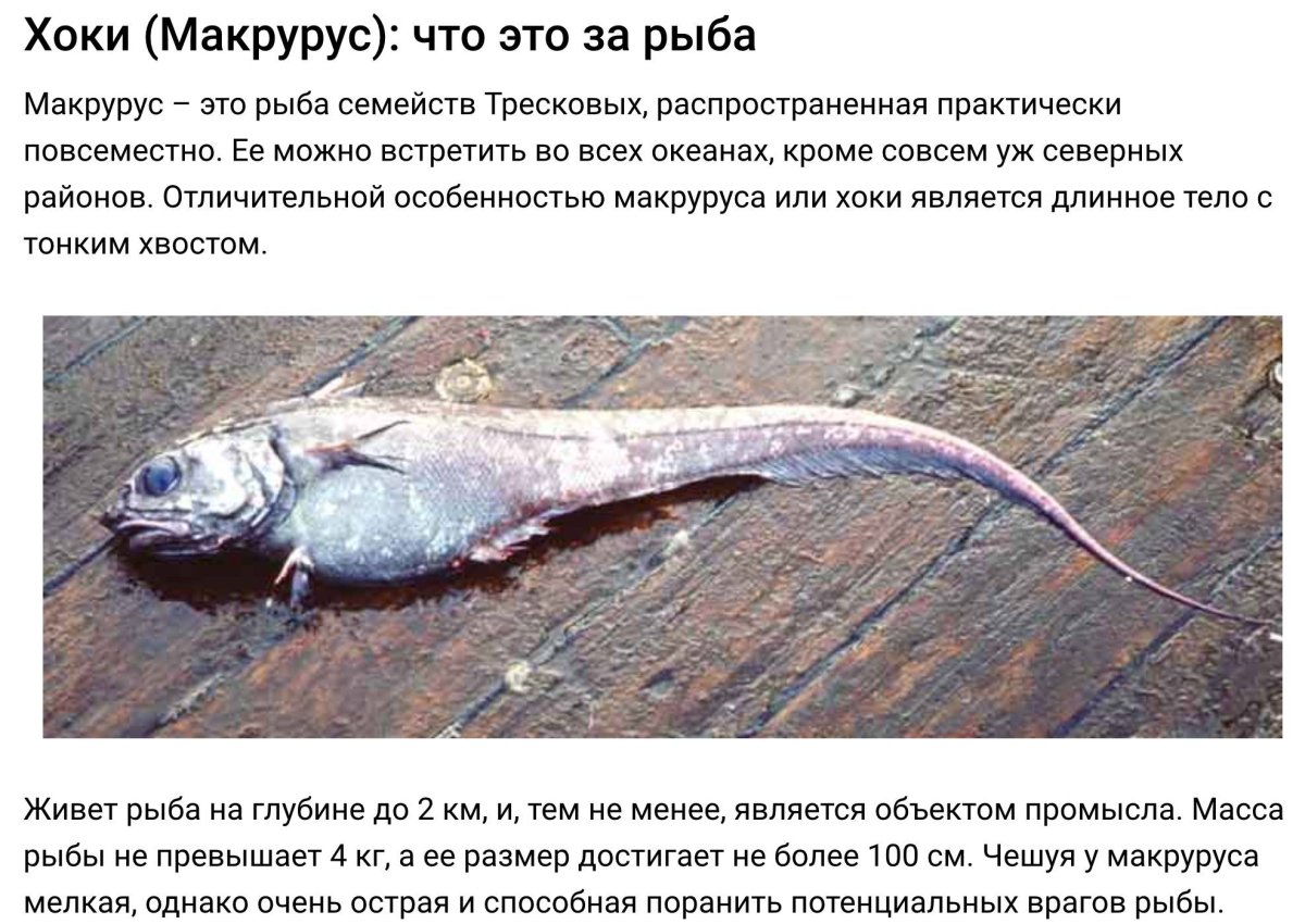 Самая страшная рыба в мире