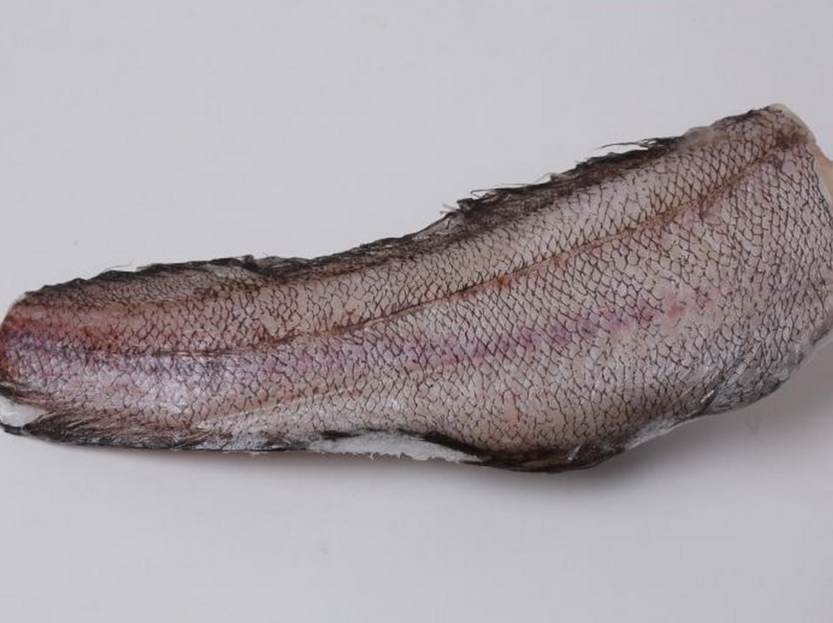 Военная рыба