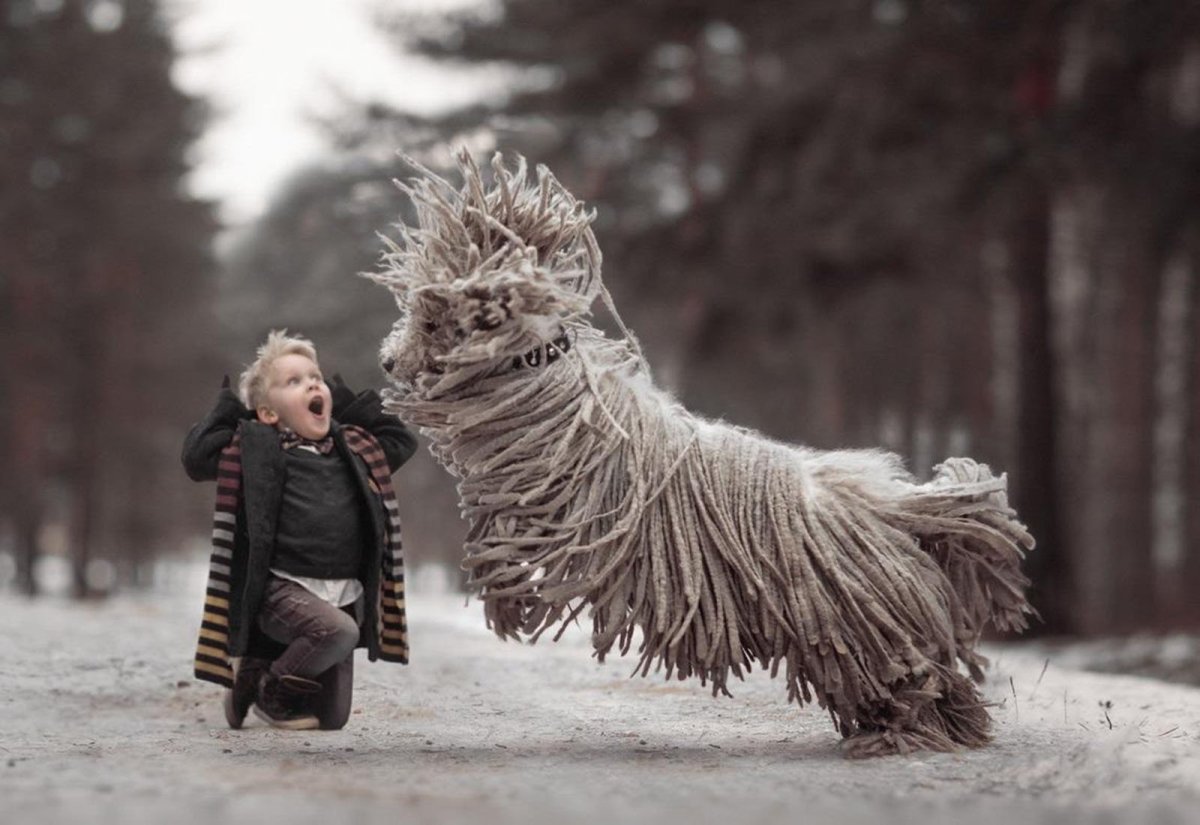 Кот со шваброй