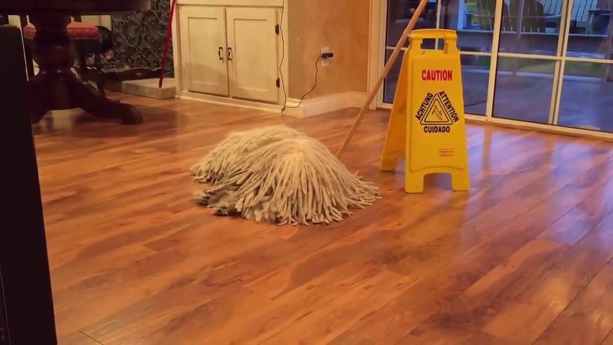 Щенок со шваброй