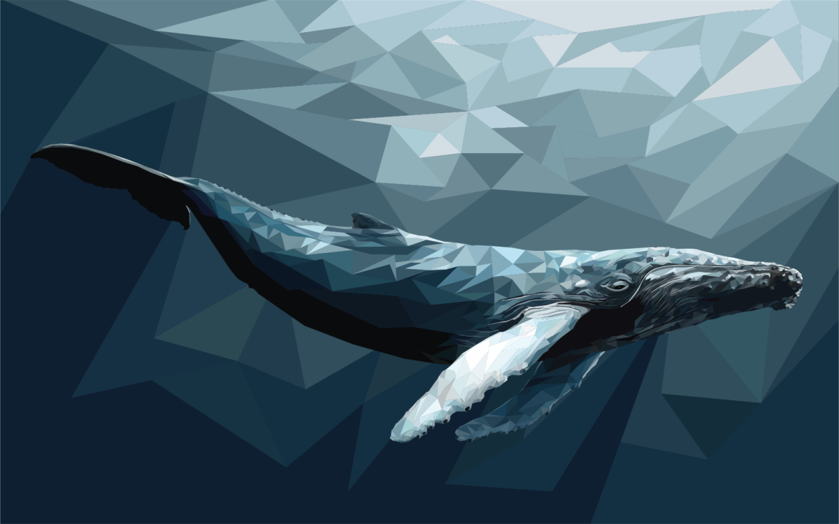 Киты арт без фона