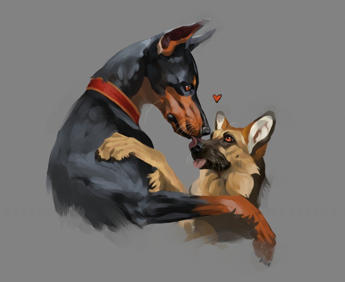 Доберманы убийцы