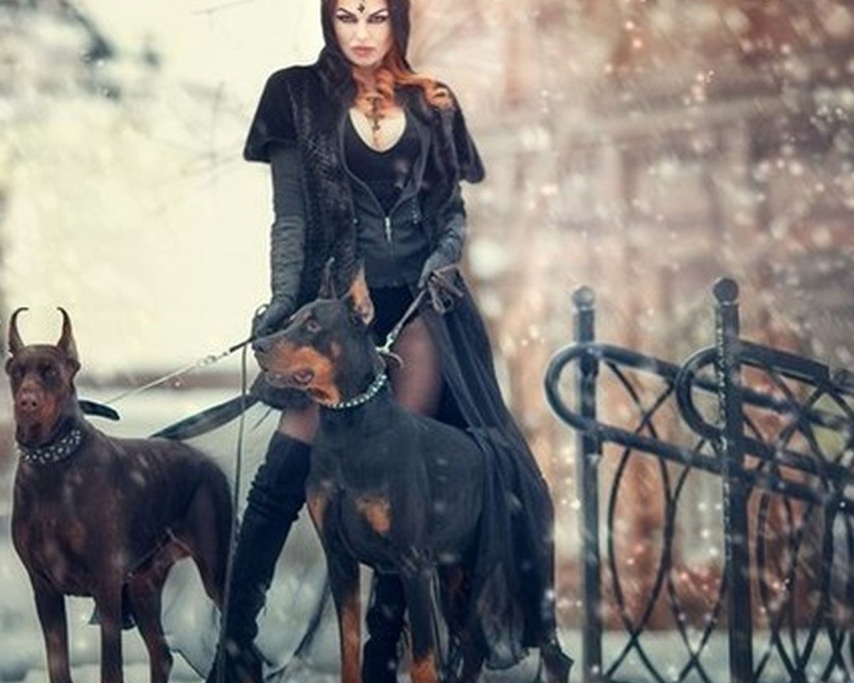 Доберман девочка