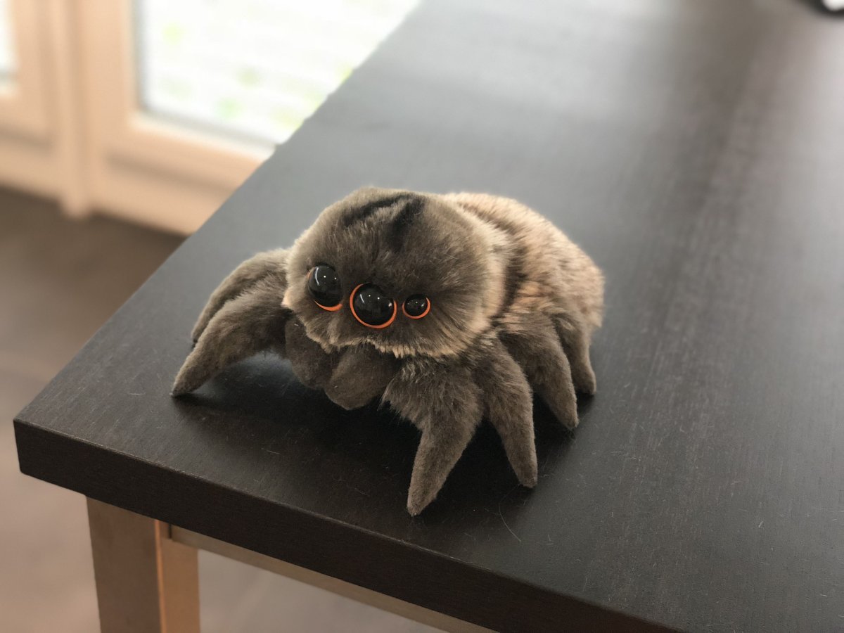 Паук Лукас игрушка