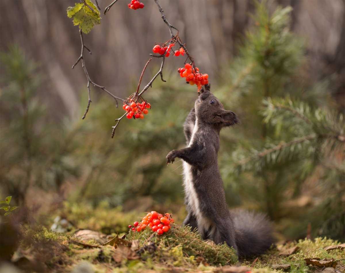 Евгения Левина фотограф