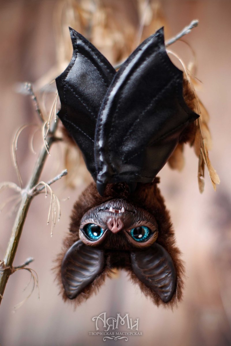 Сидни Хэнсон Sydney Hanson