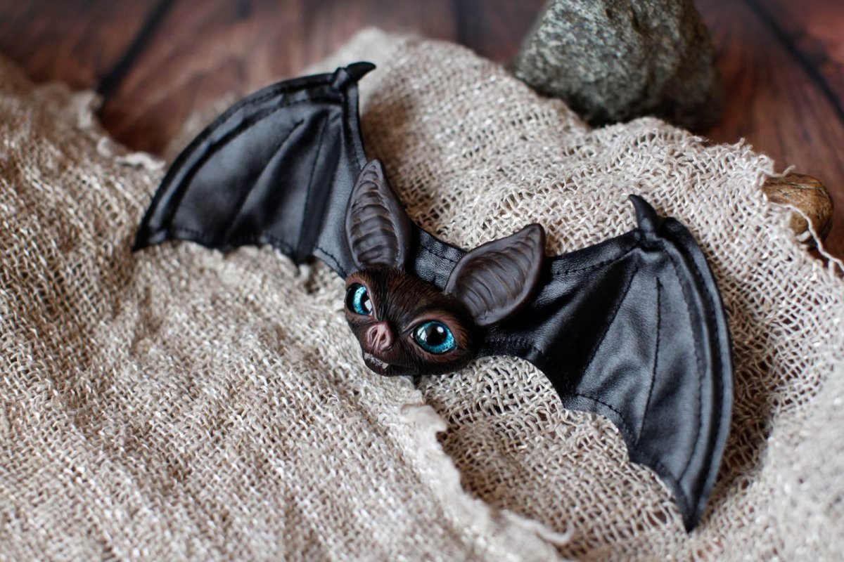 Широкоухий складчатогуб