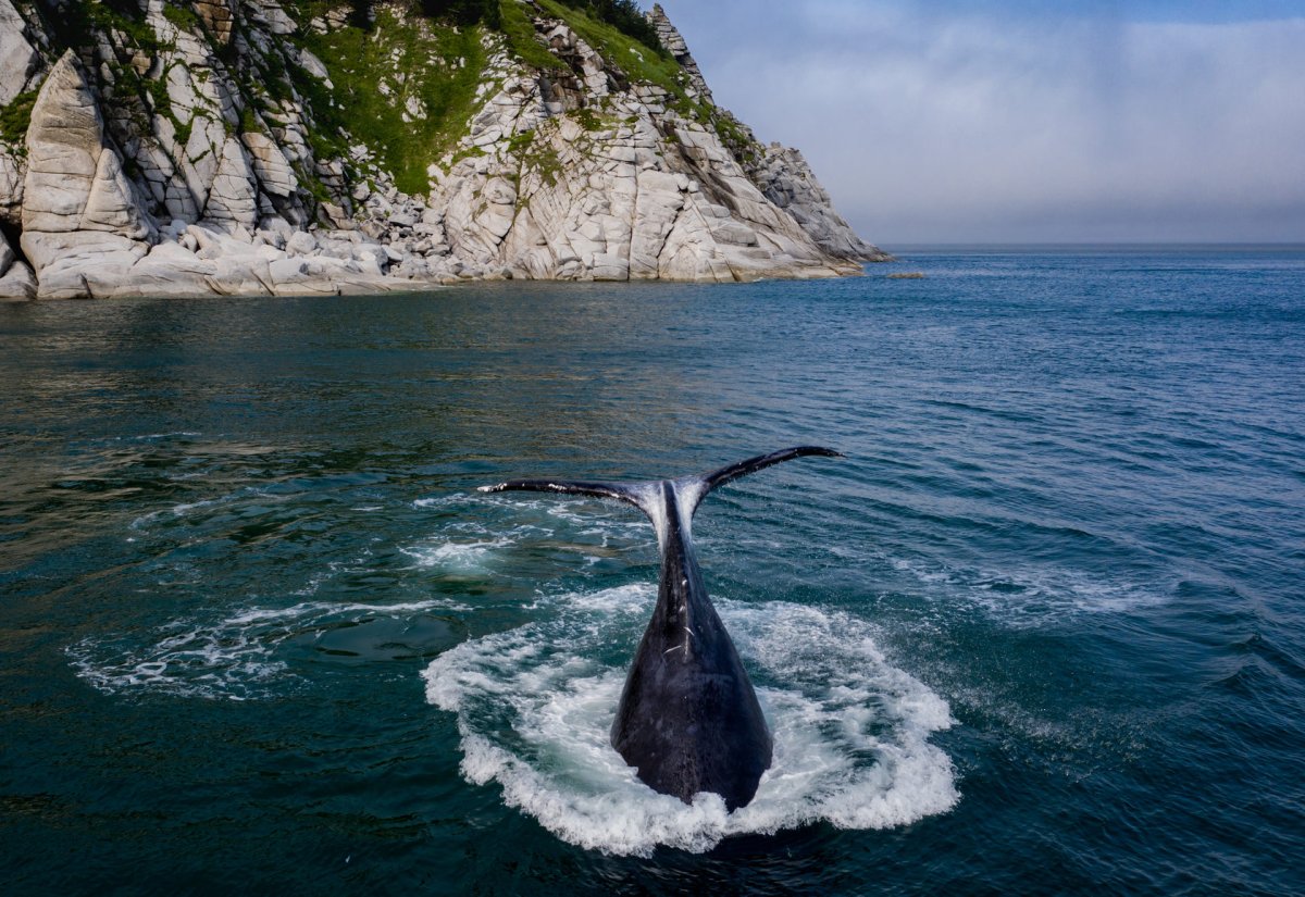 Шантары Шантарские острова