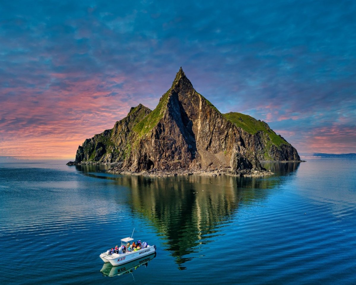 Касатка на фоне гор