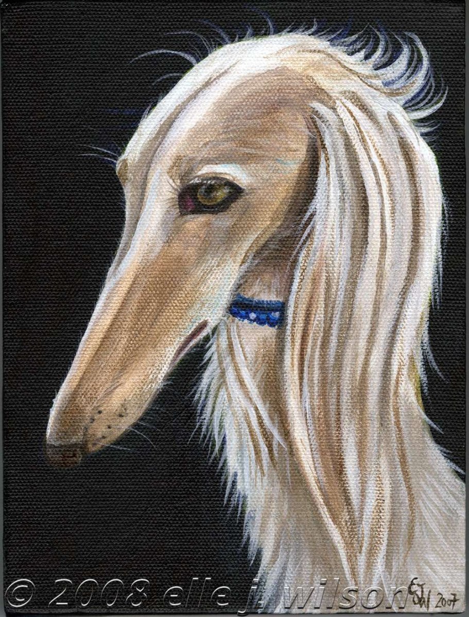 Салюки картина