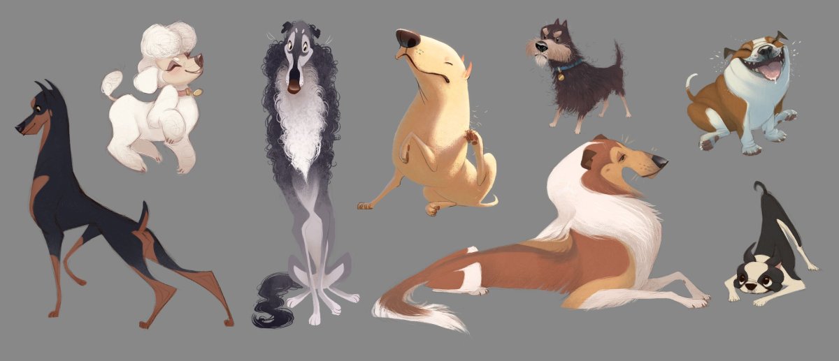 Салюки кадры