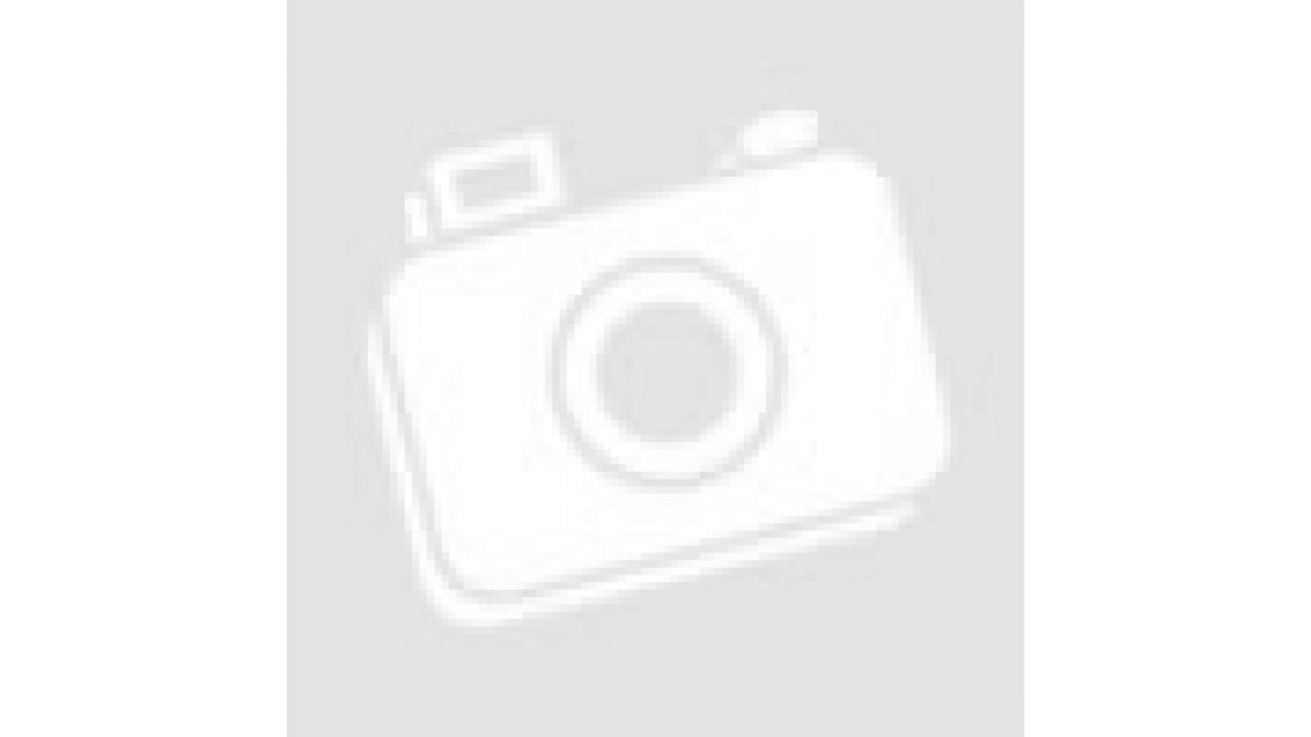 Созвездие пса