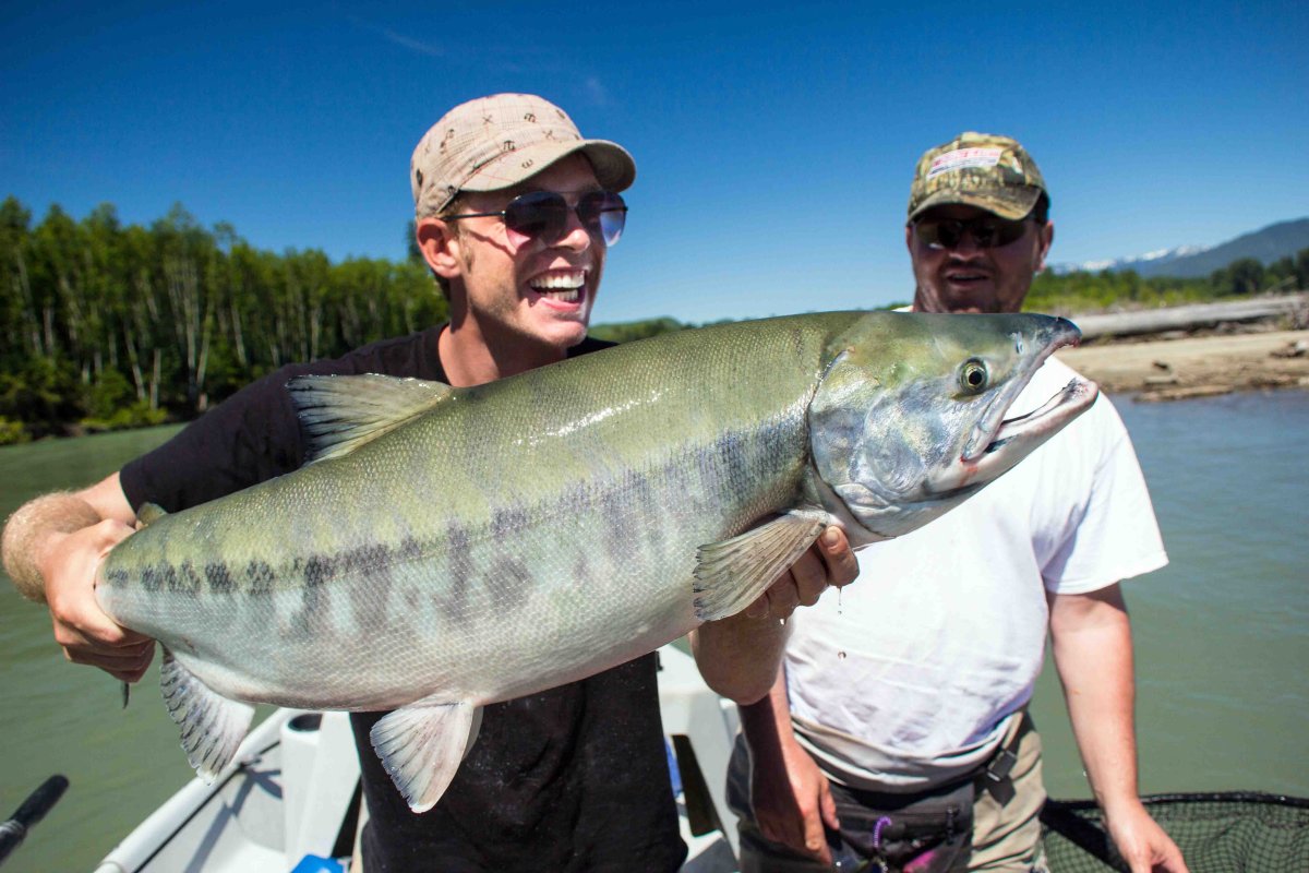 Смешные рыбы