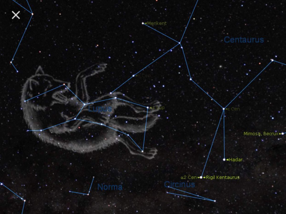 Интересные факты о морских обитателях