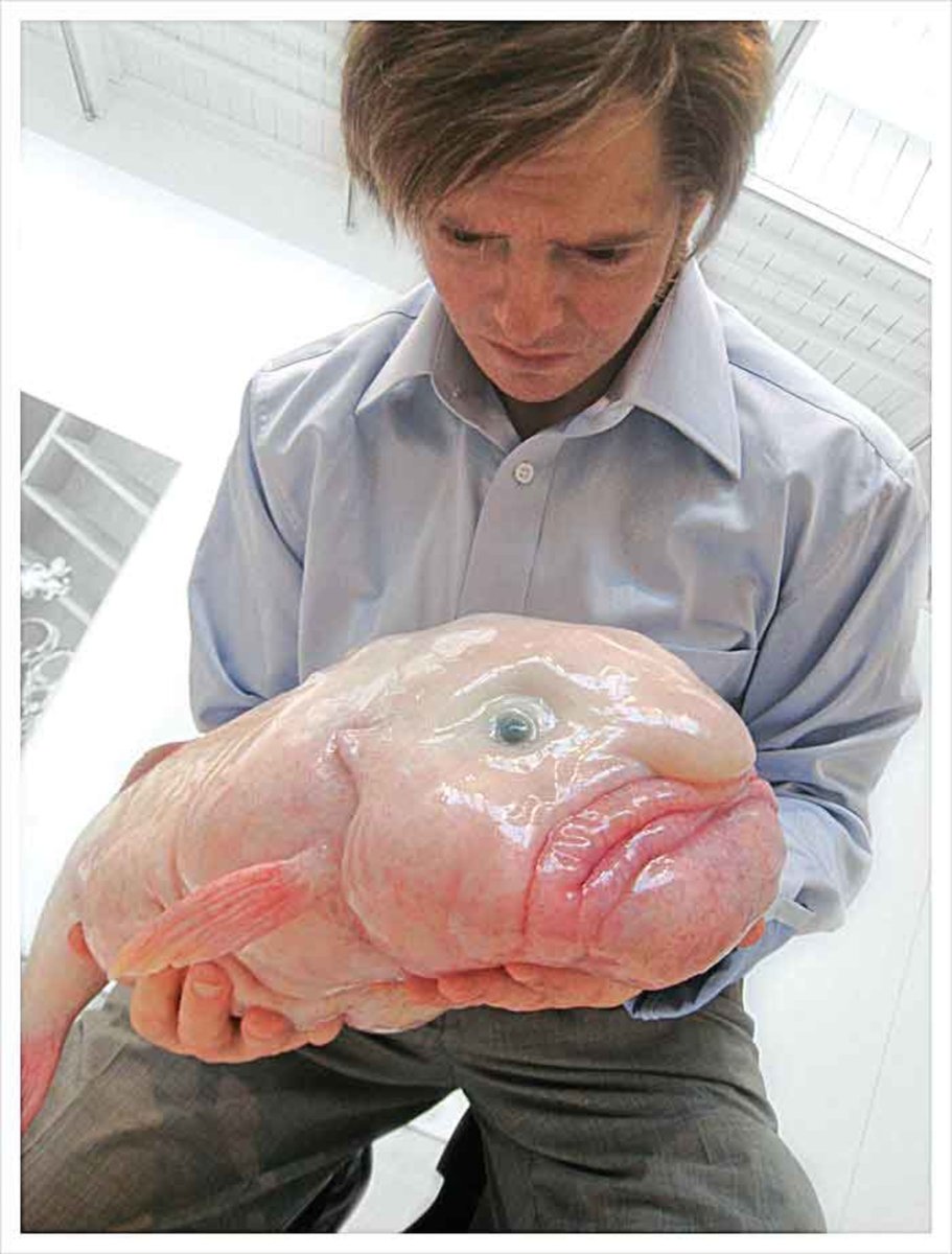 Рыба семейства психролютовые