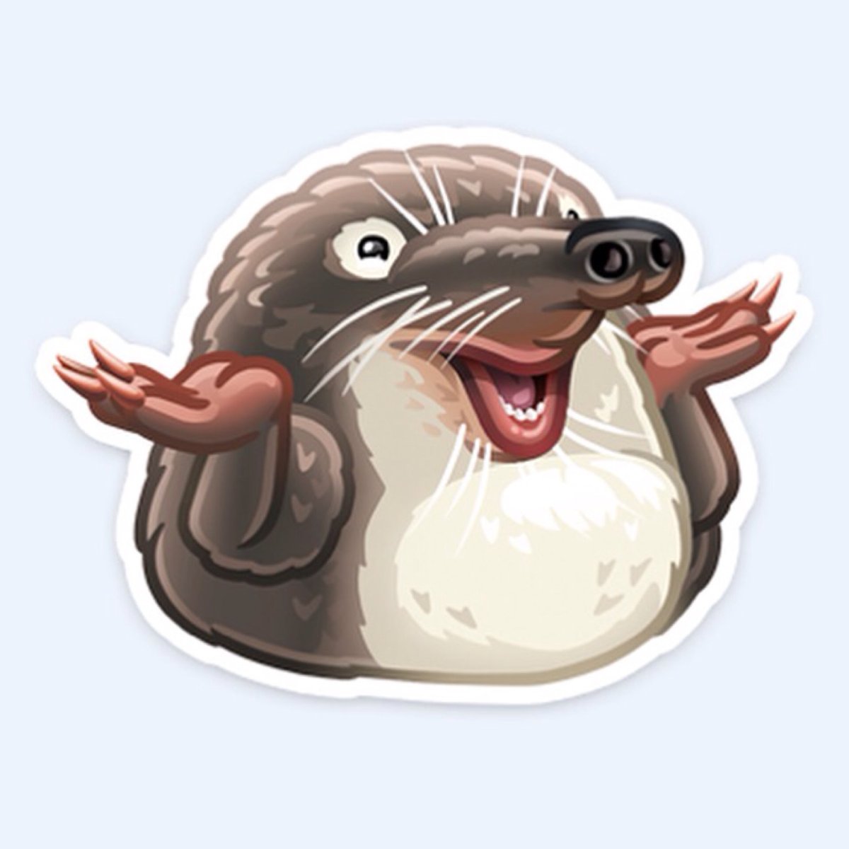 Звездорыл, или звездонос