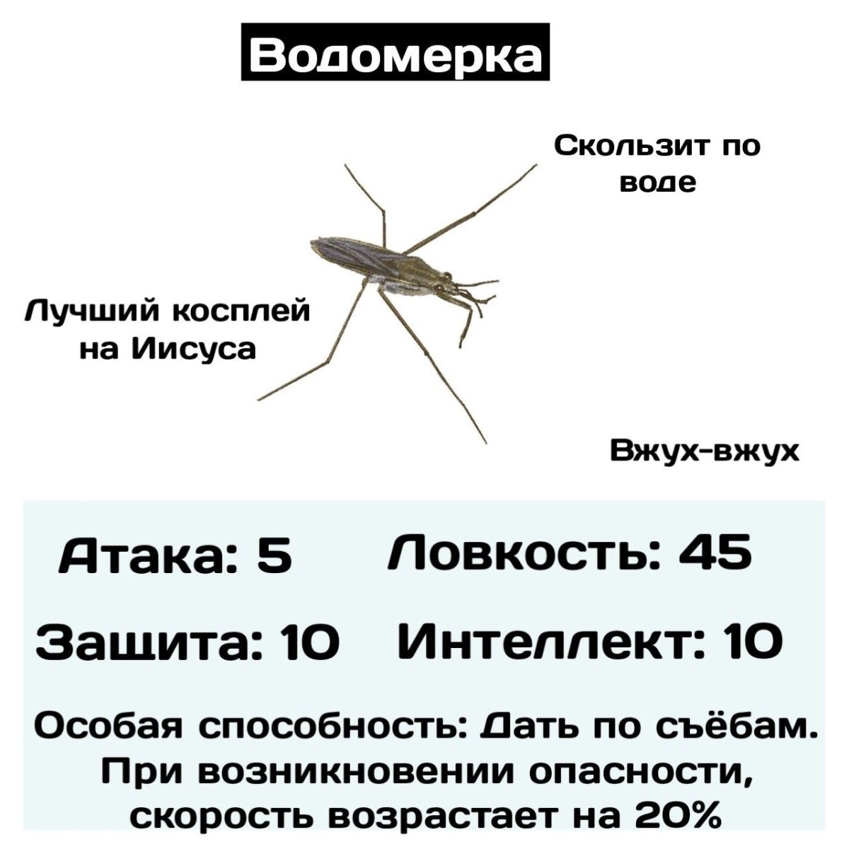 Тигровый Жук скакун