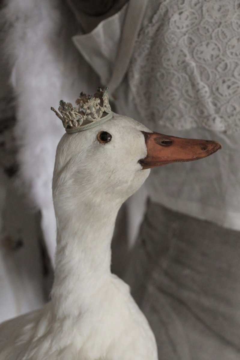Гусь в короне