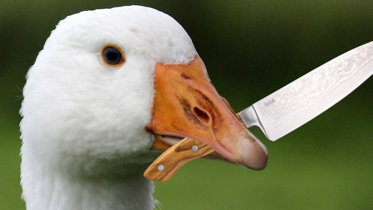 УГАРНЫЙ Гусь