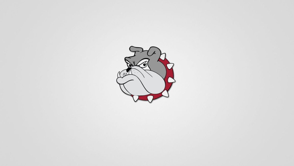 Минимализм животные