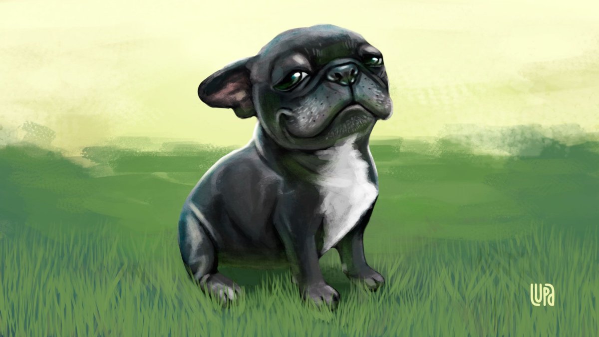 Французский бульдог арт