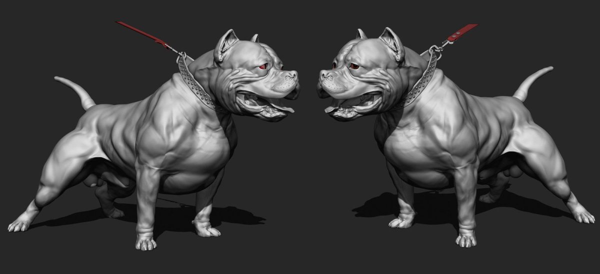 Цербер булли