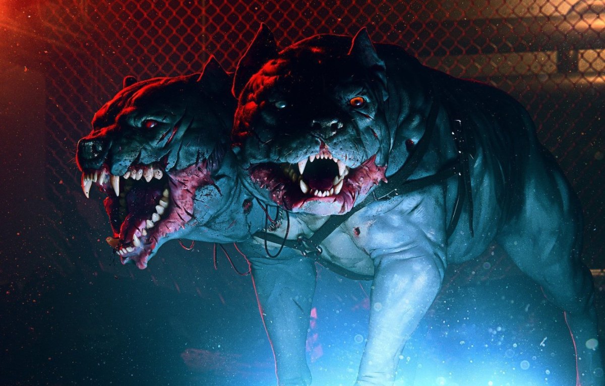 Обои с питбулем