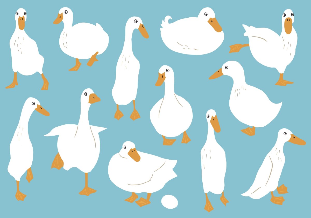 Гусь референс