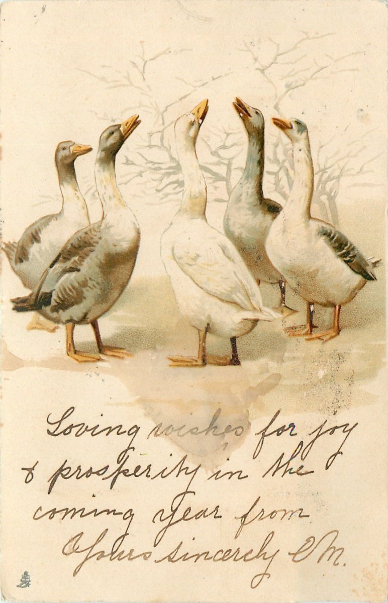 Гуси на лугу