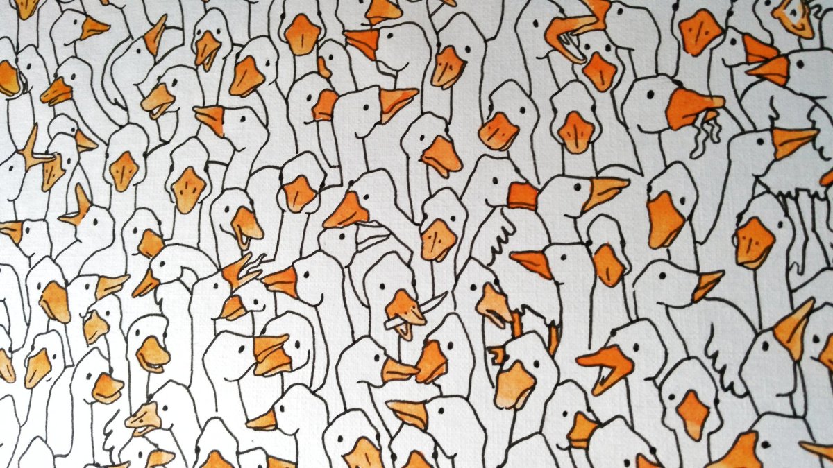 Узор с утками