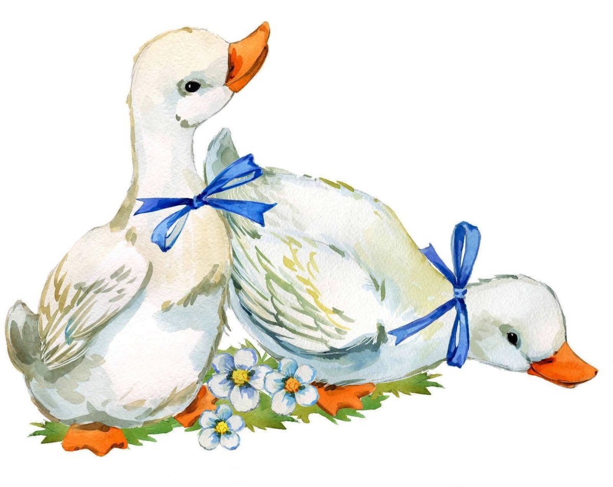 Гусь акварелью