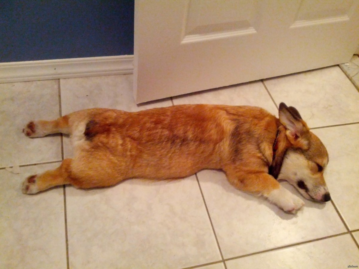 Завтра выходной